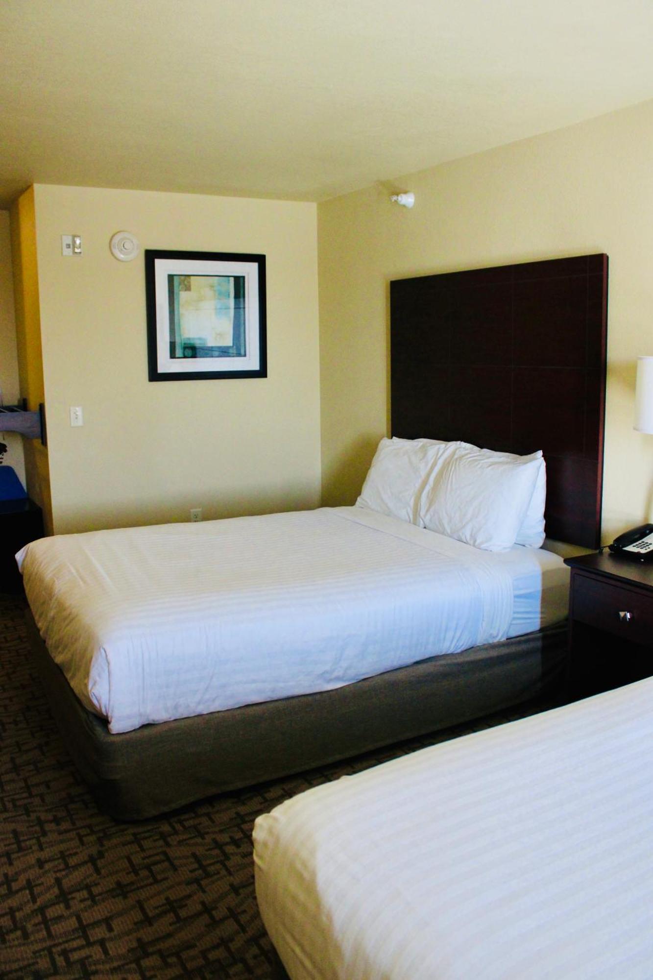 Cobblestone Hotel&Suites - Devils Lake Buitenkant foto